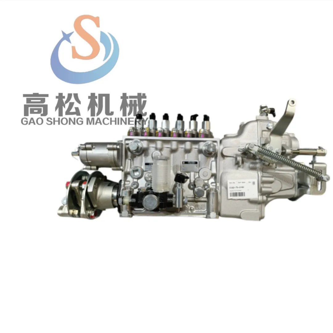 Engine Fuel Injection Pump 6162-75-2160 for SA6D170E